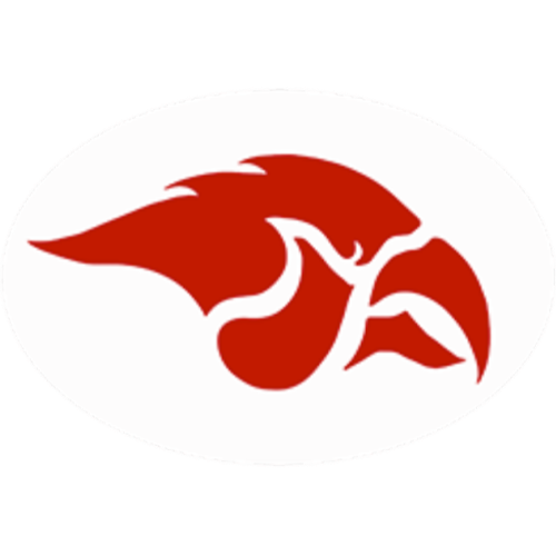 Logo for cedarspringshighschool_bigteams_17218