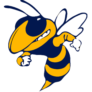 Image result for ithaca logo yellowjackets