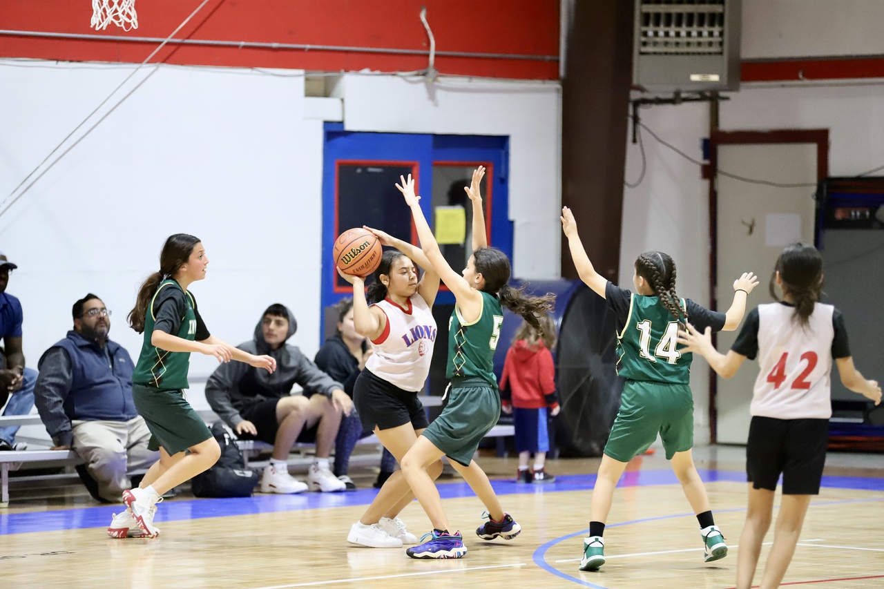 Girls Middle School Basketball