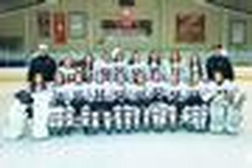Girls Varsity Ice Hockey Team Photo - 2016
