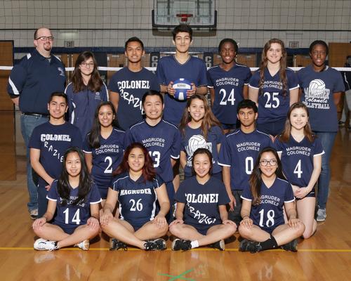 Co-ed Volleyball