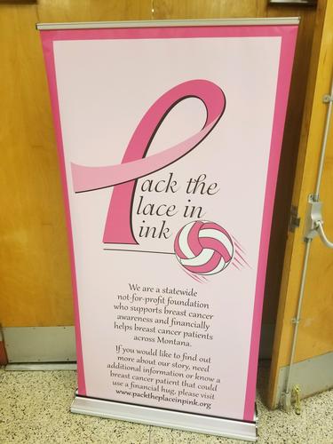 2017 Volleyball - Pack the Place in Pink