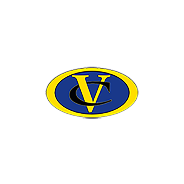 Logo for vcsdemo_bigteams_com_146208