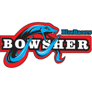 Logo for DemoBowsher_BigTeams_com_146258