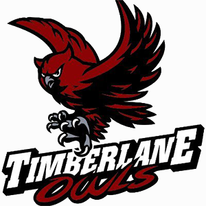 Logo for timberlaneregionalhighschool_bigteams_21572